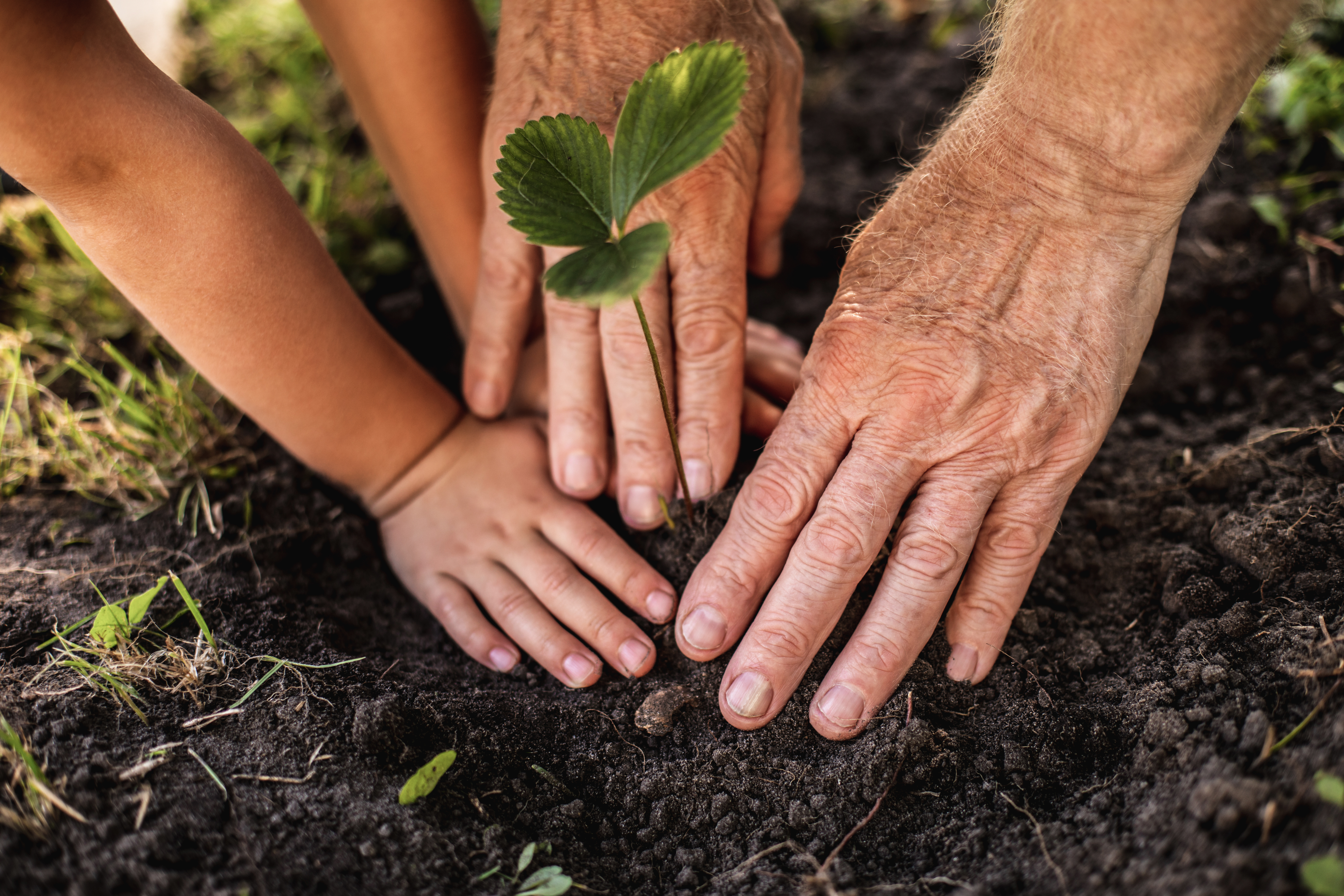 Adobestock 240003417